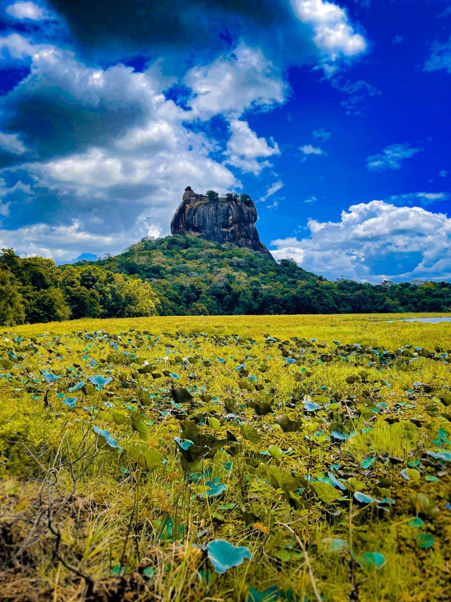 The Lotus Villa Sigiriya Exterior photo